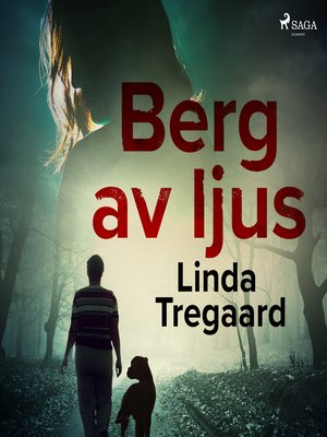 cover image of Berg av ljus